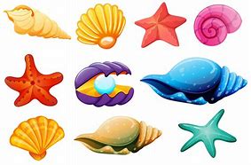 Image result for Shell Animals Art