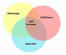 Image result for 3 Components of Self Concept