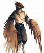 Image result for Dnd Birds