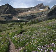 Image result for Lincoln County, Montana