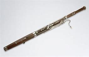 Image result for Bassoon