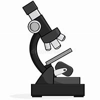 Image result for Clip Art Lens of Microscope