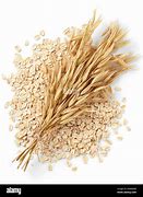 Image result for Oatmeal Plant