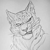 Image result for Big Cat Drawings