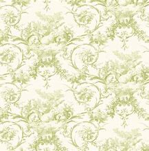 Image result for Green Toile Wallpaper