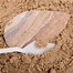 Image result for Stone Age Hand Tools