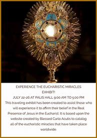 Image result for Eucharistic Miracles Book