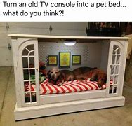 Image result for Dog Beds Display