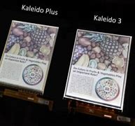 Image result for Kaleido Eink