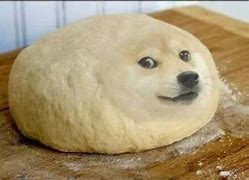 Image result for Flat Doge