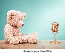 Image result for Micorwave Teddy