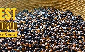 Image result for Best Ethiopian Coffee Beans