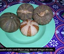 Image result for Landak Laut