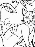 Image result for Imagem Gato Do Mato