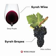 Image result for Syrah Yetzirah