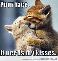 Image result for Y U No Kiss Memes