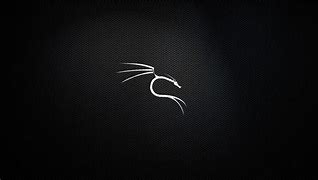 Image result for Heart Use Kali Linux Logo