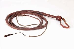 Image result for Indiana Jones Whip Clip Art