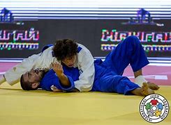 Image result for Judo Arm Slam