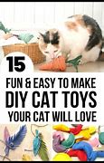 Image result for Easy DIY Cat Toys