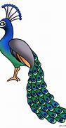 Image result for Peacock Face Cartoon