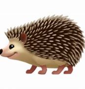 Image result for Hedgehog Smiley-Face Emoji