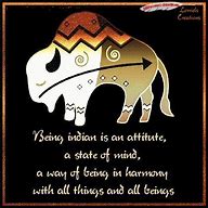 Image result for Native American Indian Wisdom