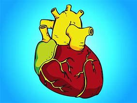 Image result for Heart Vector Art Illustration