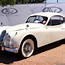 Image result for Jaguar 140