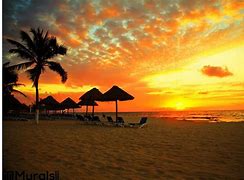 Image result for Sunset Wall Murals