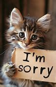 Image result for Sorry Funny Pics