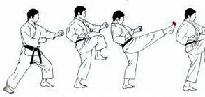 Image result for Front Kick by Mea Geri