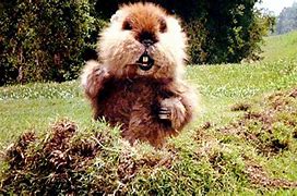 Image result for Caddyshack Gopher Scene