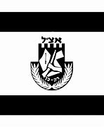 Image result for Irgun Flag