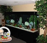 Image result for Cafe Ohio Aquarium Event