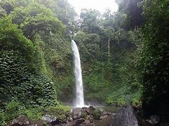 Image result for Petang Alam Indonesia