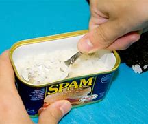 Image result for Spam Sushi Musubi