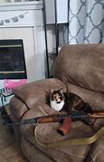 Image result for Cat with Full Metal AK Kit