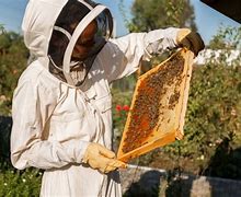 Image result for Beginning Beekeeping