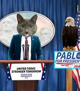 Image result for Pablo Scaredy Cat