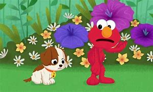 Image result for Elmo Pics