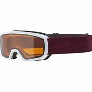 Image result for Alpine Ski Goggles