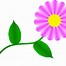 Image result for Simple Daisy Flower Clip Art