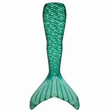 Image result for Mermaid Fin