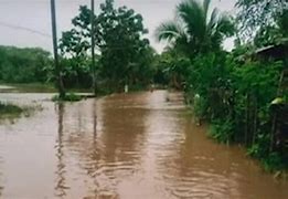 Image result for Mindanao Flood