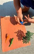 Image result for Shadow Drawing for Kids