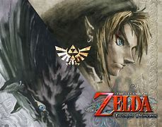 Image result for Holding a Copy of Twilight Princess