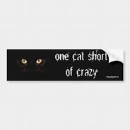 Image result for Funny Cat Bumper Stickers