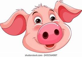 Image result for Pics of Pigs Faces