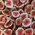 Image result for Fig Jam Uses